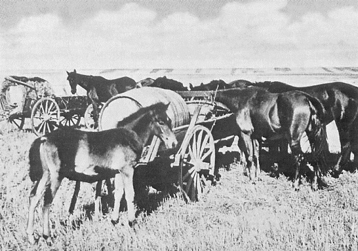 Babei/Pidhirne, Ukraine