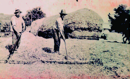 Thema Bessarabien in der Waiblinger Kreiszeitung