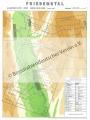 Friedenstal_-_Gemarkung_farbig_(55x42_cm).jpg