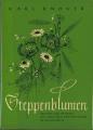 Steppenblumen.jpg