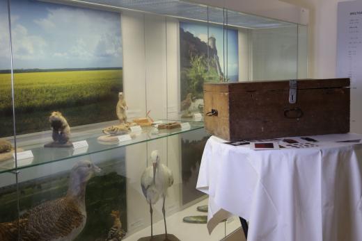 Im_Museum_12.jpg