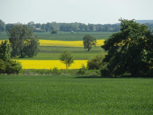 polenreisebilder_mai_juni_2012_2012-05-20_025.jpg