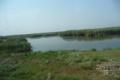 P1010425.jpg