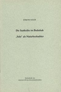  Die Saatkrähe im Budschak