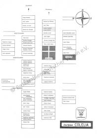  Colelia / Dobrudscha, 42 x 30