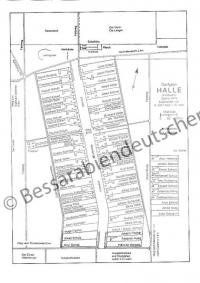  Halle ( Alisowka ), 42x30