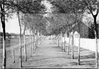  Postkarte - Gnadenfeld, Straßenansicht
