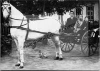  Postkarte - Orlower Traber, zur Ausfahrt bereit