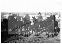  Postkarte - Das Kolonistenpferd 7