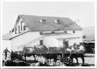  Postkarte - Das Kolonistenpferd 8