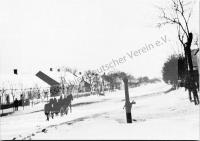  Postkarte - Kolonistenpferd 12