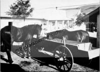  Postkarte - Bauernhof in Fürstenfeld II, Pferde am Trogwagen