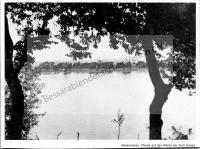  Postkarte - Pferde auf der Weide am Fluß Sarata