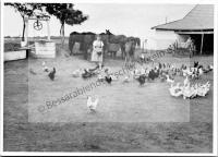  Postkarte - Hinterhof eines bäuerlichen Anwesens in Basyrjamka