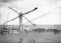  Postkarte - Bessarabischer Steppenbrunnen