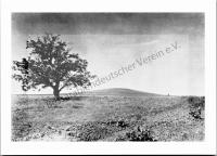  Postkarte - Großer Grabhügel (Kurgan) in Sarata