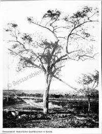  Postkarte - Historischer Quellbrunnen in Sarata