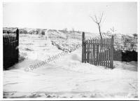  Postkarte - Winterliche Landschaft (Das Tor zum neuen Jahr)