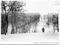  Postkarte - Neujahrsspaziergang im Tarutinoer Wäldle