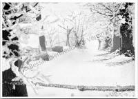  Postkarte - Winterlandschaft am Fluß Sarata