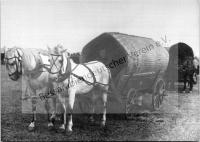 Postkarte - Treckwagen bei der Umsiedlung 1940