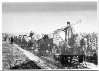  Postkarte - Umsiedlungstreck 1940