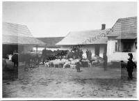  Postkarte - Deutscher Bauernhof in Beresina