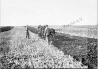  Postkarte - Die fruchtbare Schwarzerde der Bessarabischen Steppe