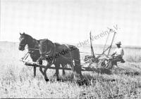  Postkarte - Bei der Ernte
