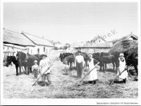  Postkarte - Dreschen mit Dreschsteinen