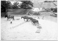  Postkarte - Dreschen mit Dreschsteinen 