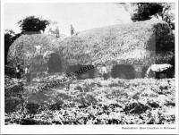  Postkarte - Beim Dreschen in Mariewka