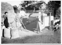  Postkarte - Sarata beim Getreideputzen