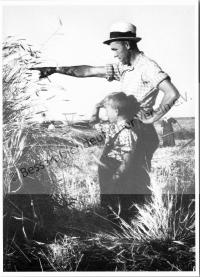  Postkarte - Bei der Getreideernte in Teplitz