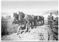  Postkarte - "Im Märzen der Bauer ..."