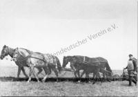  Postkarte - Deutscher Bauer beim Pflügen