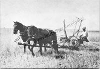  Postkarte - Mähen mit der Getreidemaschine