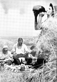  Postkarte - Mittag bei der Getreideernte