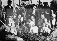  Postkarte - Sarata, beim Putzen des Zuckerrohrs