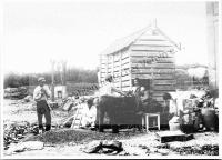  Postkarte - Die Maiskolben werden mit dem "Maisrebbler" entkörnt