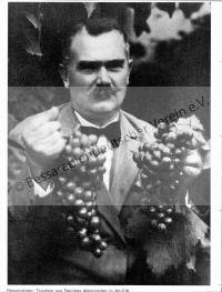  Postkarte - Trauben aus Reinkes Weingarten in Alt-Elft