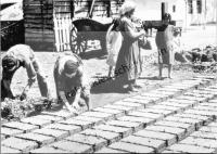  Postkarte - Beim "Batzenmachen", luftgetrocknete Lehmziegel