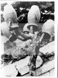  Postkarte - Milchtöpfe, originelle Trocknung