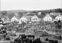  Postkarte - Markt vor der Ernte in Tarutino